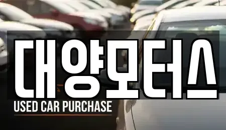 전라남도 여수시 군자동 중고차 전문 대양모터스