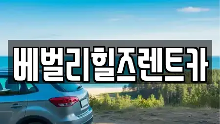 전라남도 영암군 삼호읍 렌트카 전문 베벌리힐즈렌트카