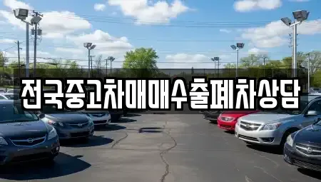 전라남도 영암군 삼호읍 중고차매매 전문 전국중고차매매수출폐차상담