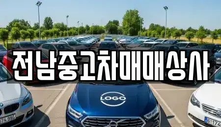 전라남도 영암군 삼호읍 중고차매매,단기렌트카,중고차매입,장기렌트카,중고차,렌트카