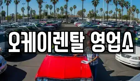 전라남도 함평군 학교면 렌트카 전문 오케이렌탈 영업소