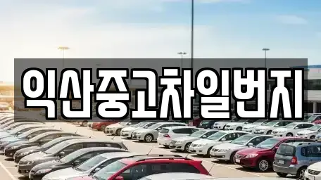 전북 익산시 덕기동 중고차 전문 익산중고차일번지