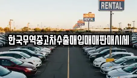 전북 정읍시 과교동 중고차매입 전문 한국무역중고차수출매입매매판매시세