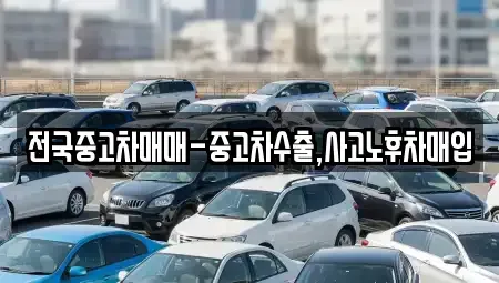 전북특별자치도 군산시 금동 중고차매입 전문 전국중고차매매-중고차수출,사고노후차매입