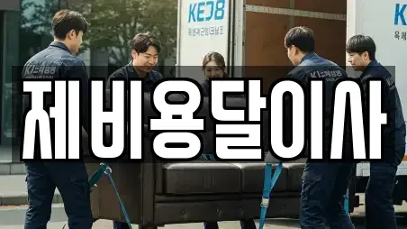 제비용달이사