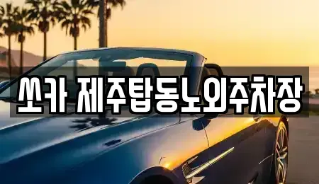 제주 제주시 건입동 렌트카 전문 쏘카 제주탑동노외주차장