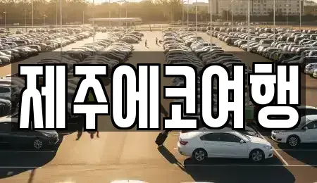 제주 제주시 건입동 렌트카 전문 제주에코여행