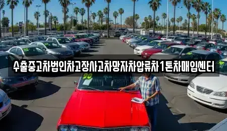 제주 제주시 건입동 중고차매매 전문 수출중고차법인차고장사고차망자차압류차1톤차매입센터
