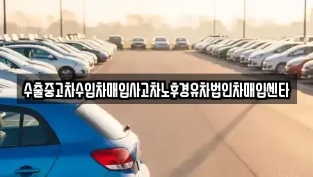 제주 제주시 건입동 중고차매매 전문 수출중고차수입차매입사고차노후경유차법인차매입센타