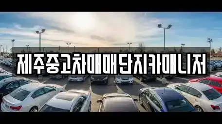 제주 제주시 건입동 중고차매매 전문 제주중고차매매단지카매니저