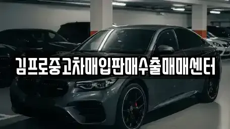제주 제주시 건입동 중고차매입 전문 김프로중고차매입판매수출매매센터