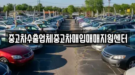 제주 제주시 건입동 중고차매입 전문 중고차수출업체중고차매입매매지원센터