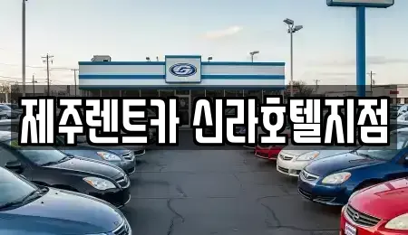 제주특별자치도 서귀포시 상예동 렌트카 전문 제주렌트카 신라호텔지점