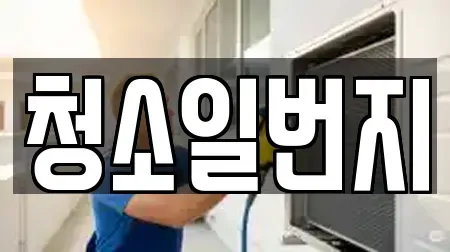 청소일번지