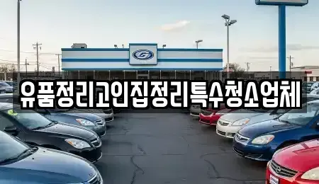 충남 논산시 양촌면 중고차매입 전문 유품정리고인집정리특수청소업체