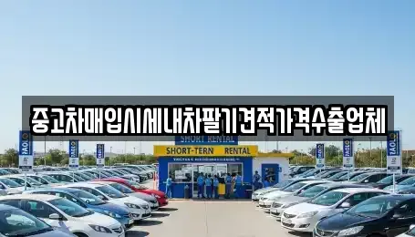 충남 보령시 오천면 중고차매입 전문 중고차매입시세내차팔기견적가격수출업체