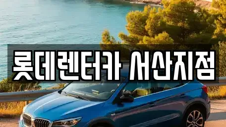 충남 서산시 석림동 렌트카 전문 롯데렌터카 서산지점