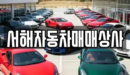 충남 서산시 석림동 중고차매매 전문 서해자동차매매상사