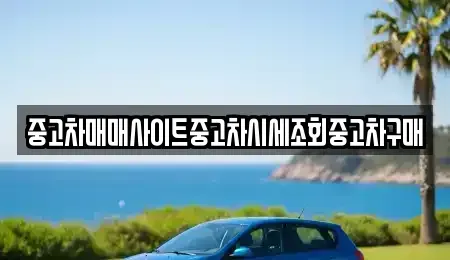 충남 서산시 석림동 중고차매매 전문 중고차매매사이트중고차시세조회중고차구매