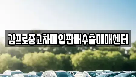 충남 서산시 석림동 중고차매입 전문 김프로중고차매입판매수출매매센터