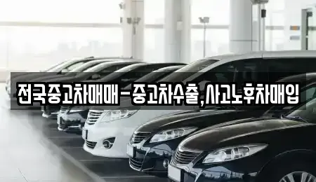 충남 서산시 석림동 중고차매입 전문 전국중고차매매-중고차수출,사고노후차매입