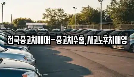 충남 아산시 초사동 중고차매입 전문 전국중고차매매-중고차수출,사고노후차매입