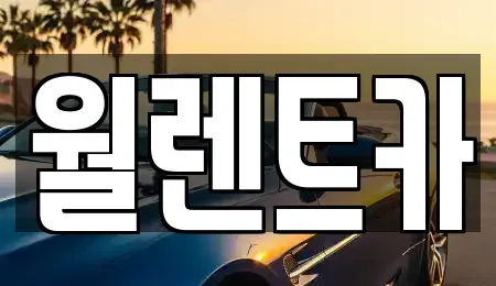 충남 천안시 동남구 목천읍 렌트카 전문 월렌트카