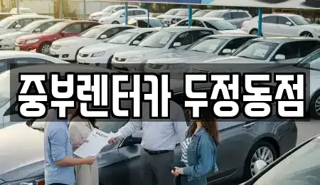 충남 천안시 동남구 목천읍 렌트카 전문 중부렌터카 두정동점