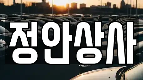 충남 천안시 동남구 목천읍 중고차매매,단기렌트카,중고차매입,장기렌트카,중고차,렌트카