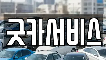 충남 천안시 동남구 안서동 렌트카 전문 굿카서비스