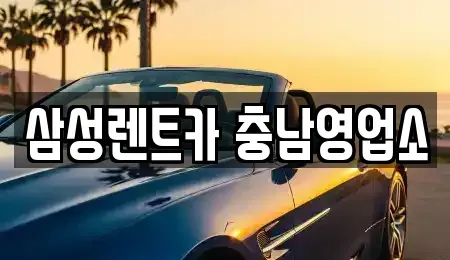 충남 천안시 동남구 안서동 렌트카 전문 삼성렌트카 충남영업소