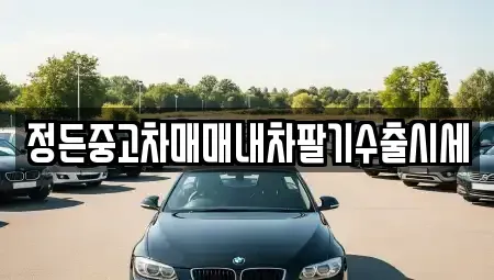 충남 천안시 동남구 안서동 중고차 전문 정든중고차매매내차팔기수출시세