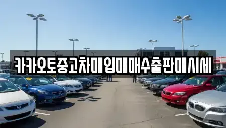 충남 천안시 동남구 안서동 중고차 전문 카카오토중고차매입매매수출판매시세