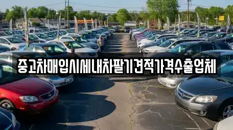 충남 천안시 동남구 안서동 중고차매입 전문 중고차매입시세내차팔기견적가격수출업체