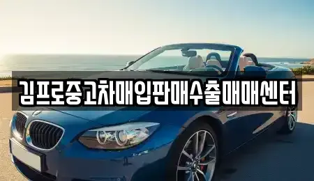 충북 제천시 고명동 중고차매입 전문 김프로중고차매입판매수출매매센터