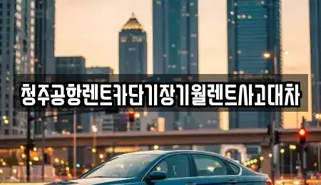 충북 청주시 상당구 문의면 단기렌트카 전문 청주공항렌트카단기장기월렌트사고대차