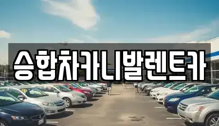 충북 청주시 상당구 문의면 렌트카 전문 승합차카니발렌트카