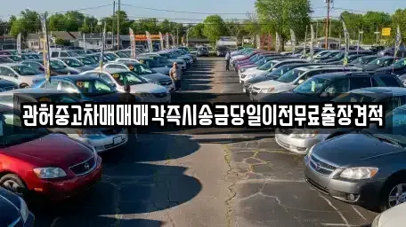 충북 청주시 상당구 문의면 중고차매매 전문 관허중고차매매매각즉시송금당일이전무료출장견적