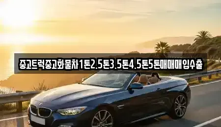충북 청주시 상당구 문의면 중고차매매 전문 중고트럭중고화물차1톤2.5톤3.5톤4.5톤5톤매매매입수출