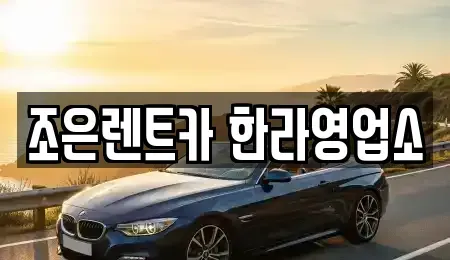 충북 청주시 청원구 정상동 렌트카 전문 조은렌트카 한라영업소