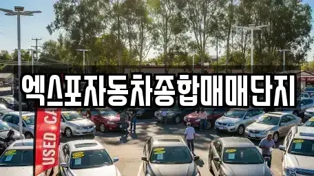충북 청주시 청원구 정상동 중고차 전문 엑스포자동차종합매매단지