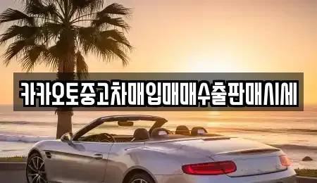 충북 청주시 청원구 정상동 중고차 전문 카카오토중고차매입매매수출판매시세