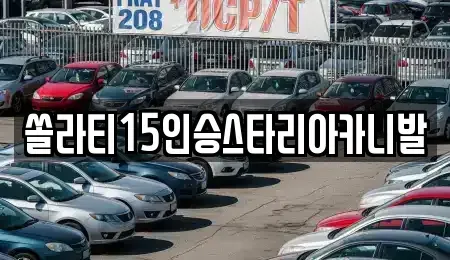 충북 충주시 직동 렌트카 전문 쏠라티15인승스타리아카니발