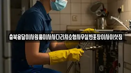 충북용달이사원룸이사사다리차소형사무실반포장이사이삿짐