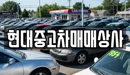 충청남도 논산시 성동면 중고차 전문 현대중고차매매상사