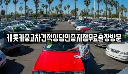 충청남도 보령시 성주면 중고차 전문 캐롯카중고차견적상담인증지점무료출장방문