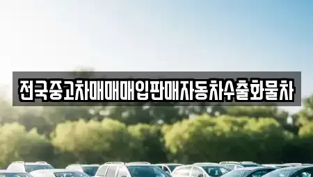 충청남도 천안시 서북구 와촌동 중고차 전문 전국중고차매매매입판매자동차수출화물차