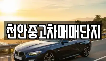 충청남도 천안시 서북구 와촌동 중고차매매 전문 천안중고차매매단지