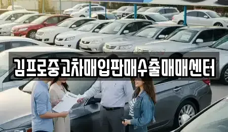충청남도 천안시 서북구 와촌동 중고차매입 전문 김프로중고차매입판매수출매매센터