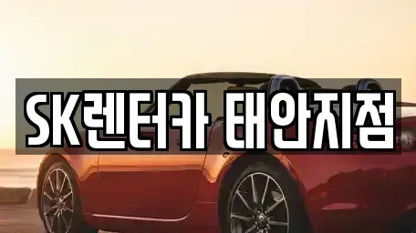 충청남도 태안군 태안읍 렌트카 전문 SK렌터카 태안지점
